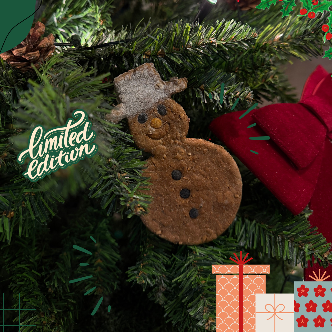 Der Schneenascher Winter Edition