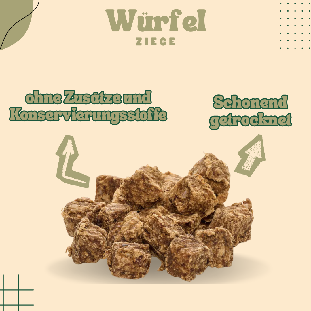 Würfel Ziege