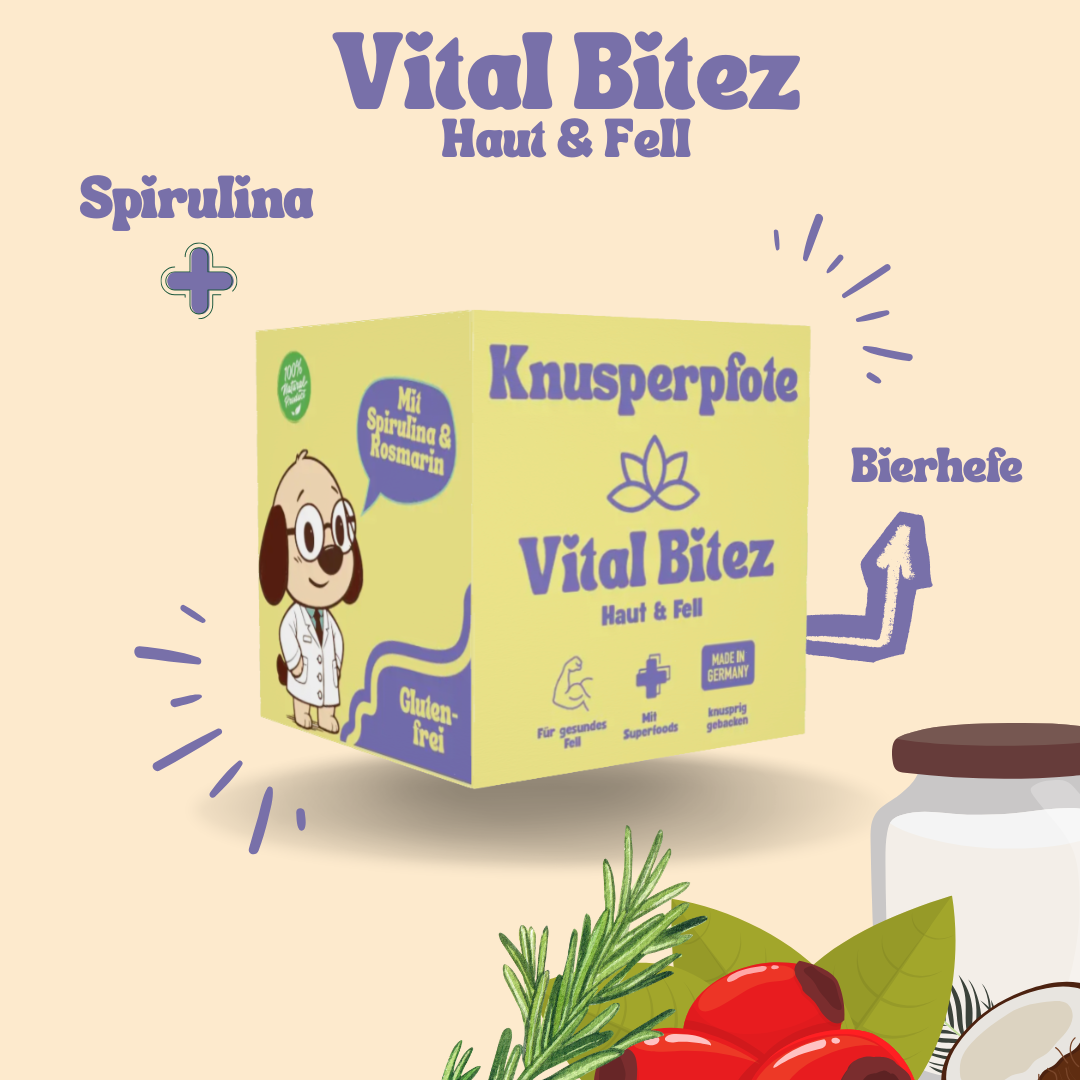 Vital Bitez Haut & Fell