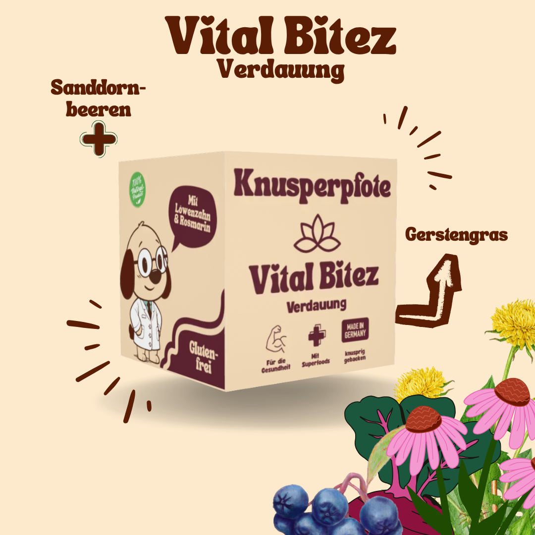 Vital Bitez Verdauung