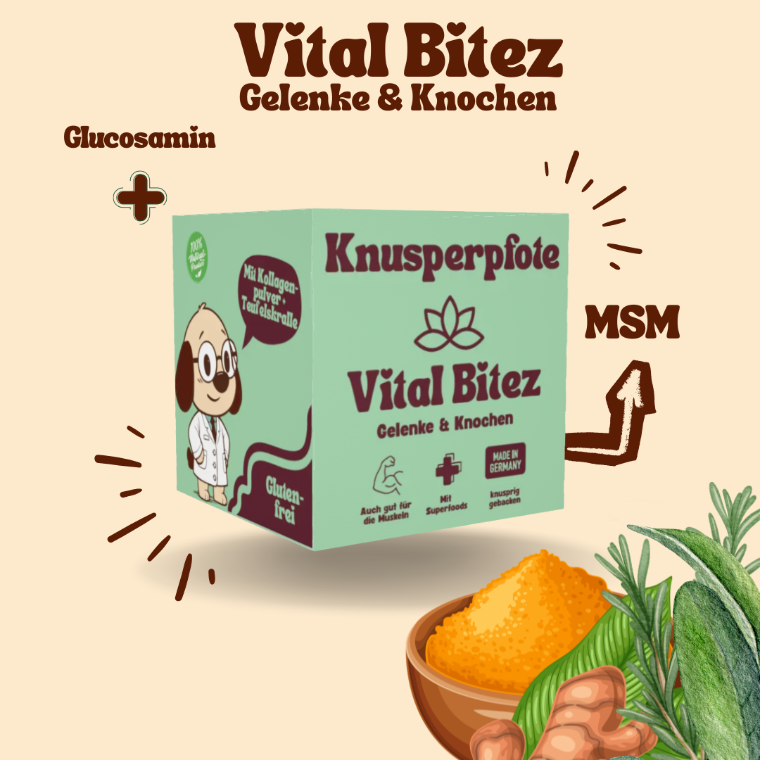 Vital Bitez Gelenke & Knochen