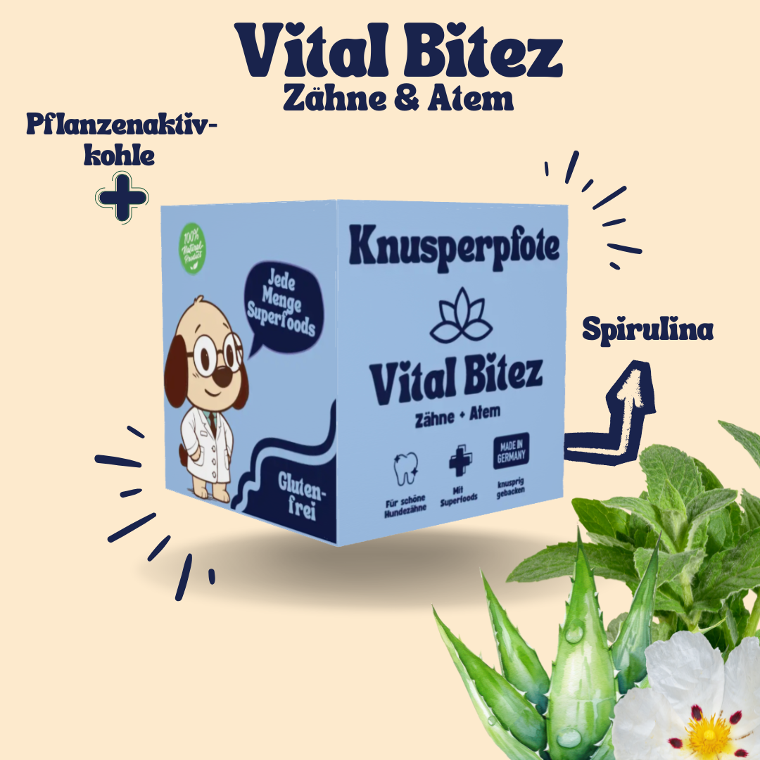 Vital Bitez Zähne & Atem