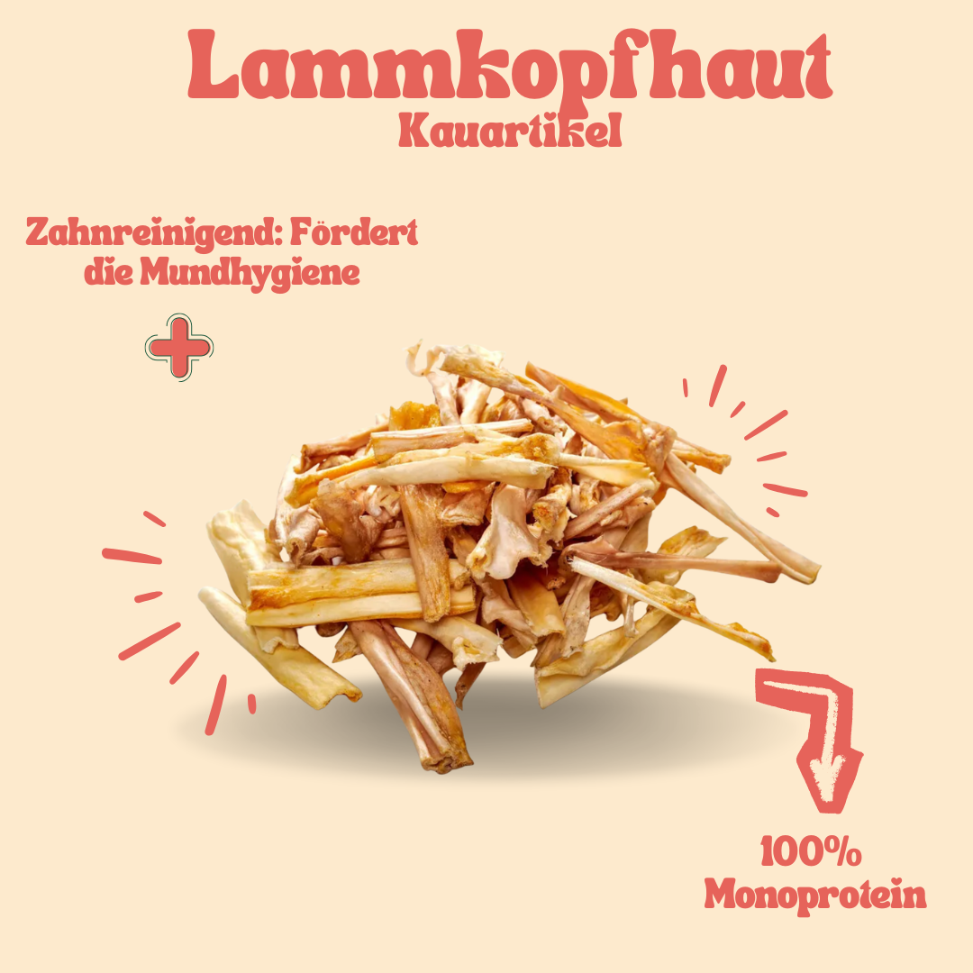 Lammkopfhaut Kauartikel