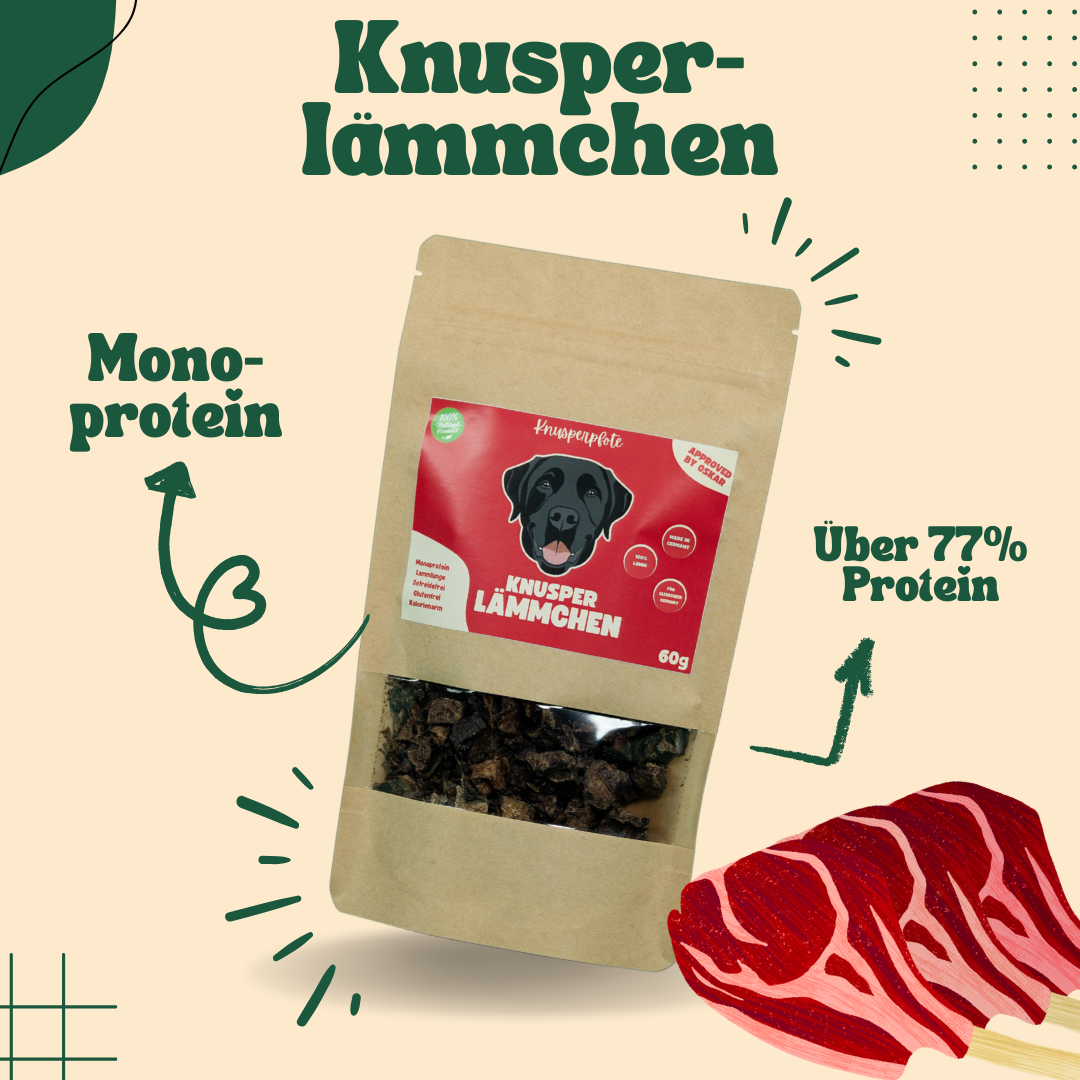 Knusper Lämmchen
