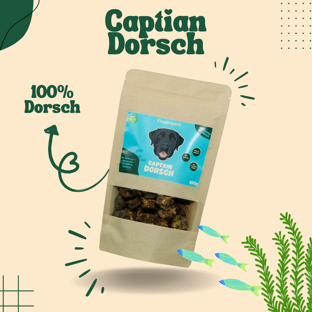 Captain Dorsch