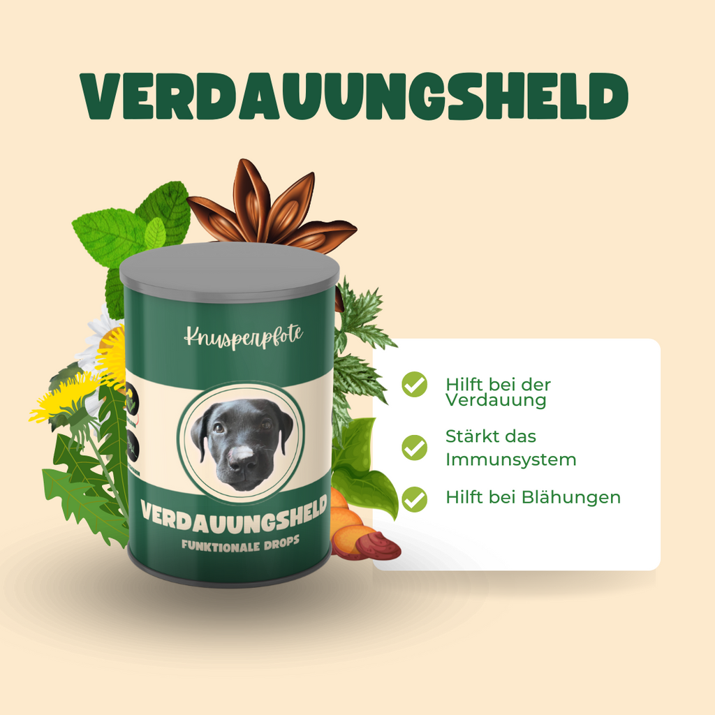 Verdauungsheld - Funktionsdrops