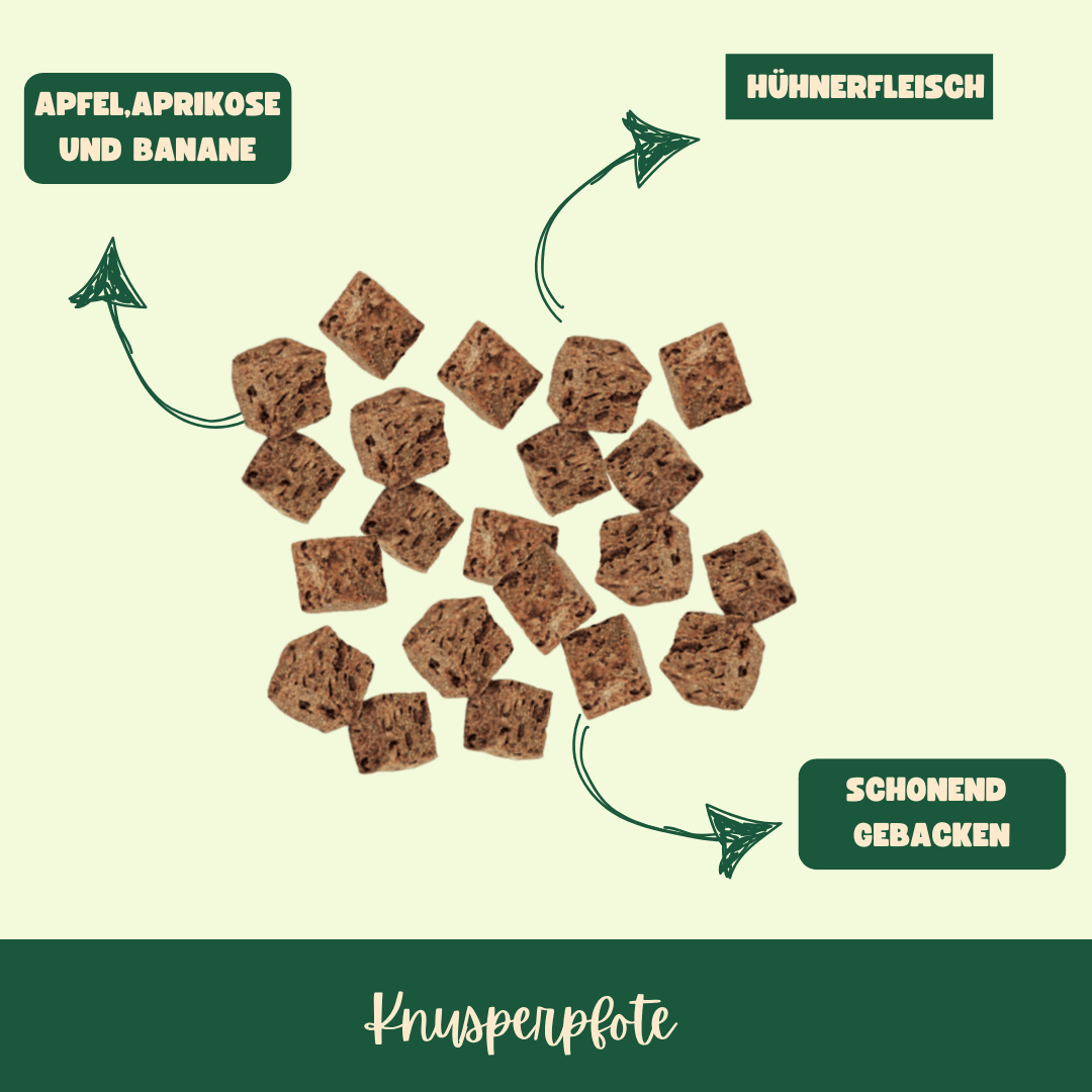 Buddy Bitez Huhn+Frucht - Knusperpfote