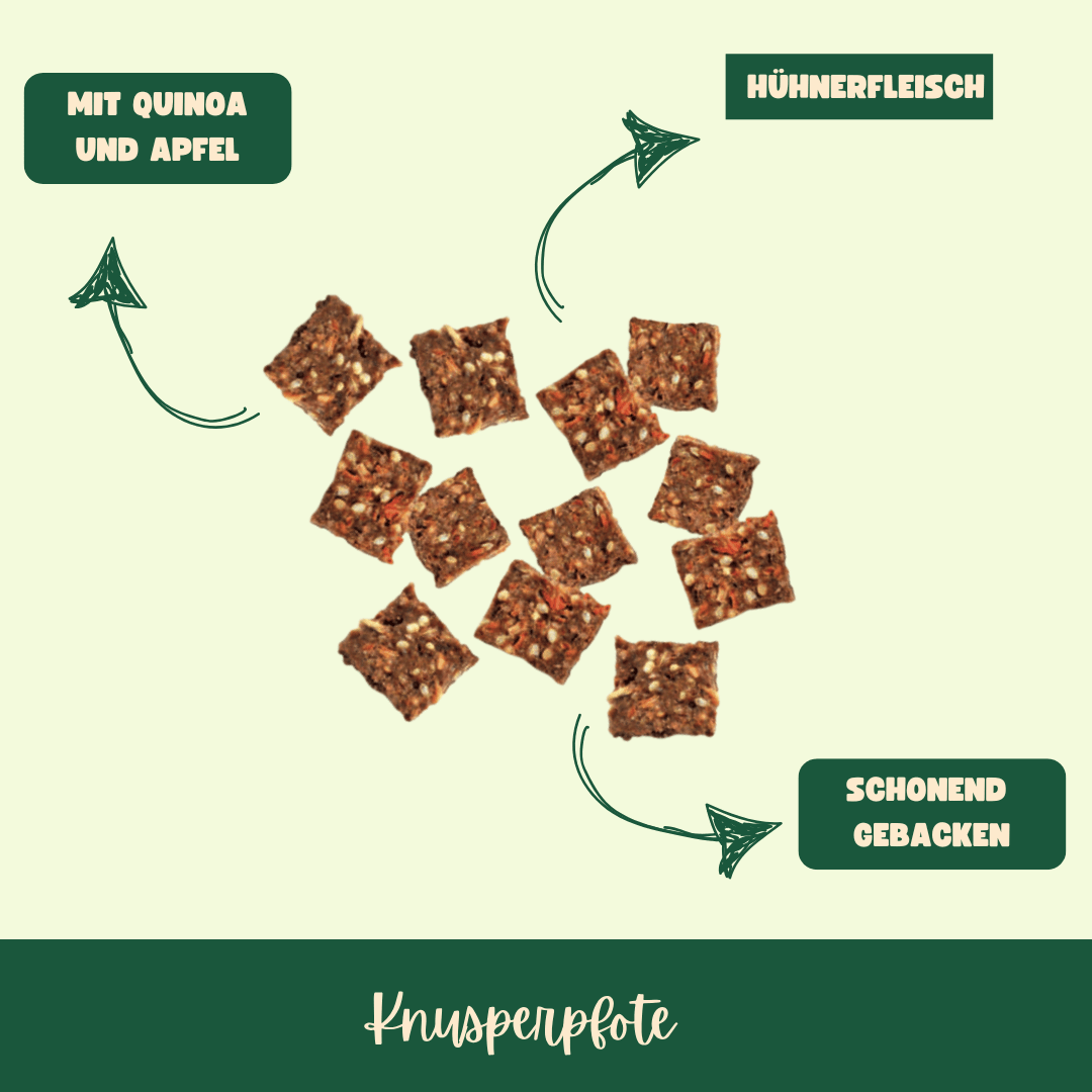 Buddy Bitez Huhn+Quinoa - Knusperpfote