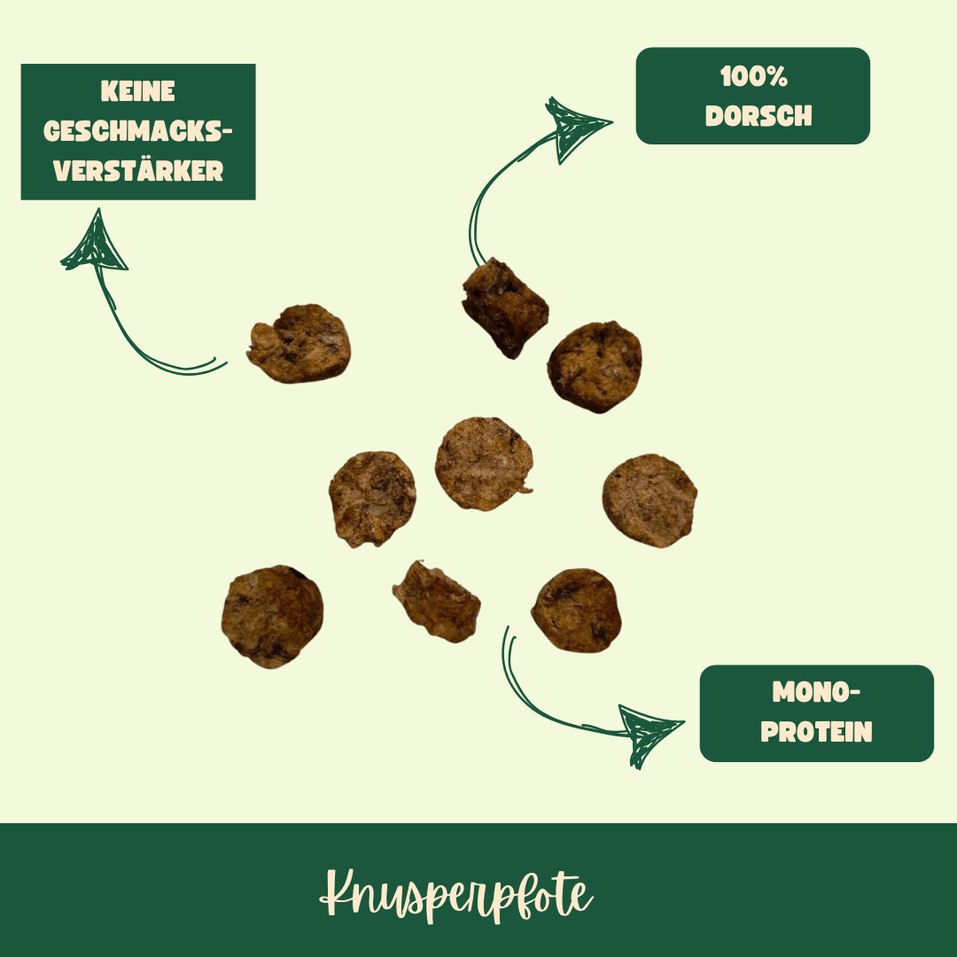 Captain Dorsch - Knusperpfote