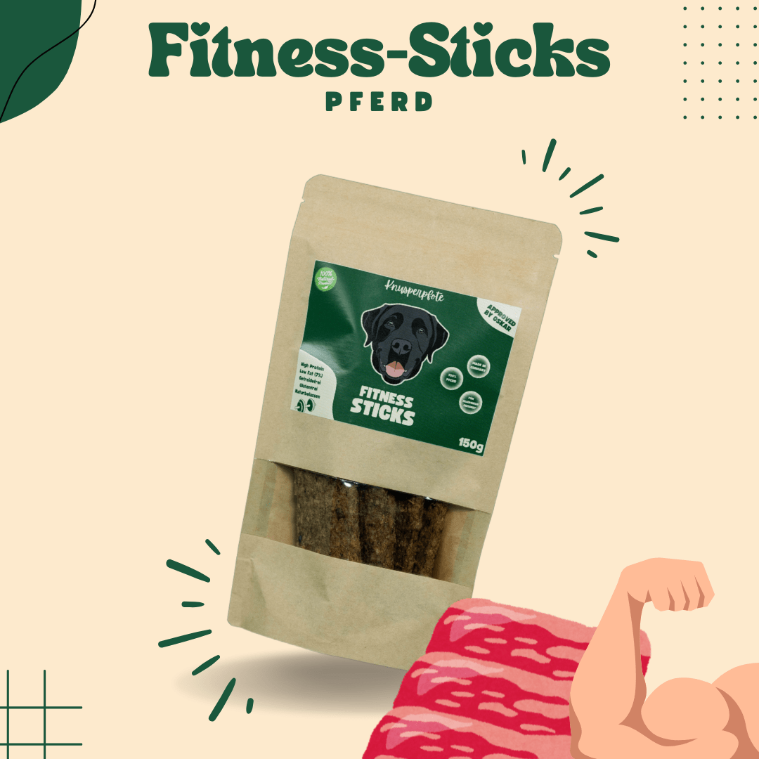 Fitness - Sticks Pferd - Knusperpfote