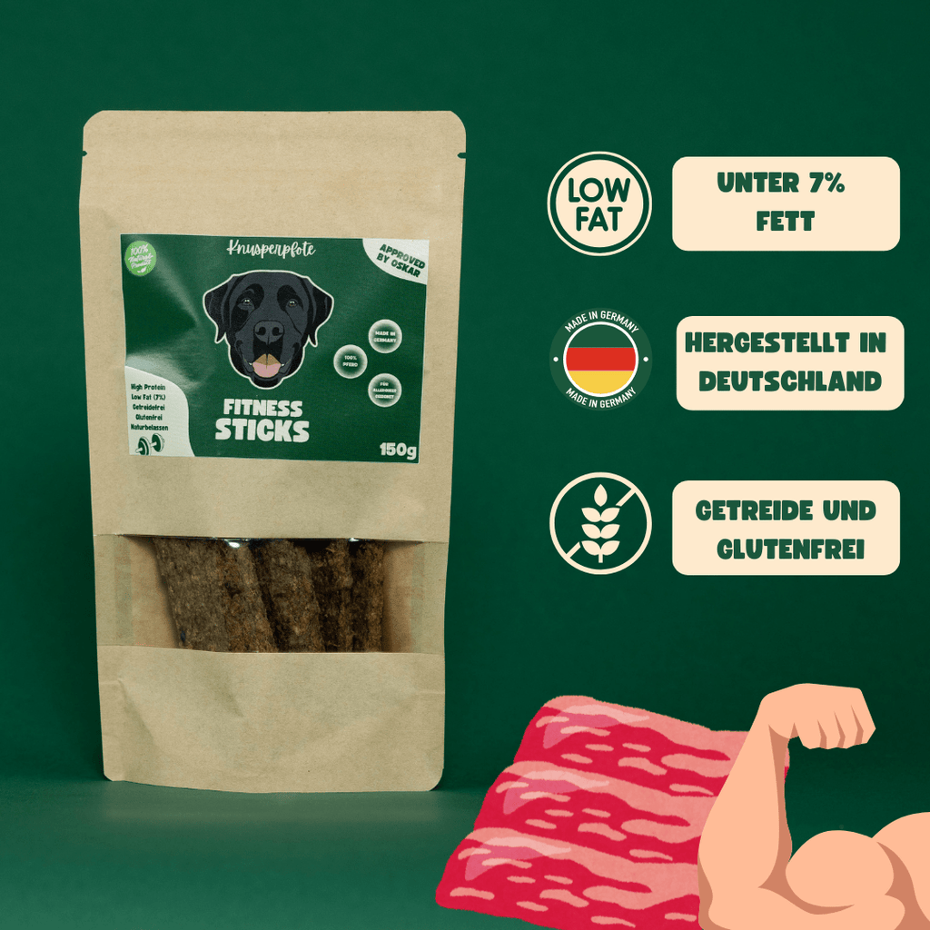 Fitness - Sticks Pferd - Knusperpfote